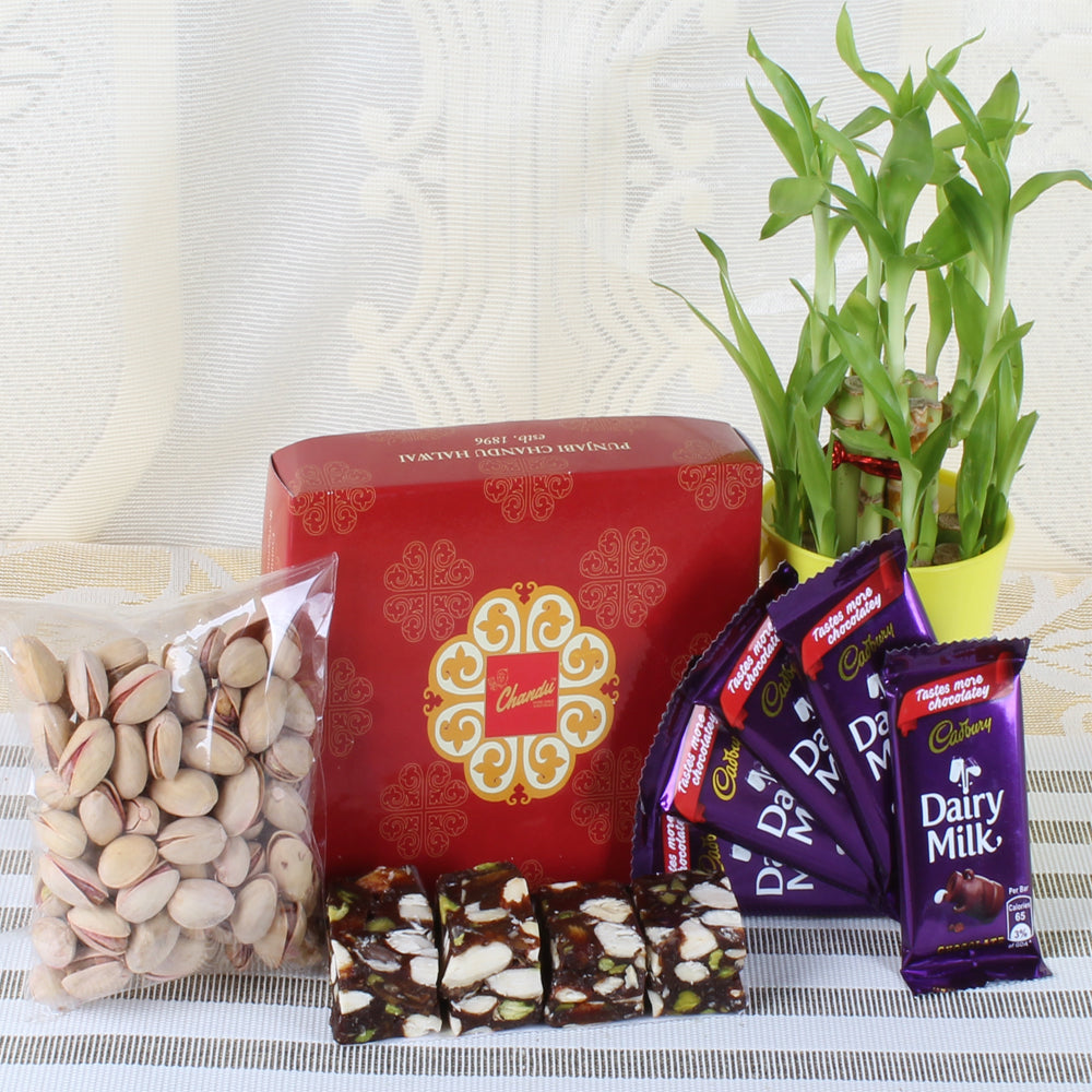 Geen Plant with Healthy Treat