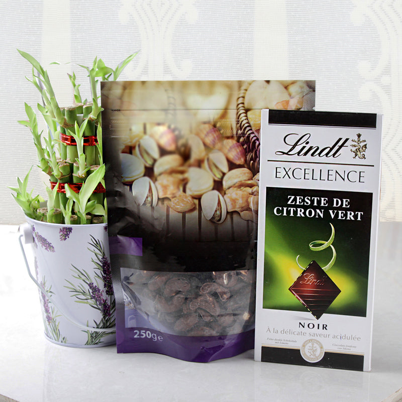 Chocolate Cashews Nuts and Lindt Pista Chocolate with Good Luck Plant Hamper