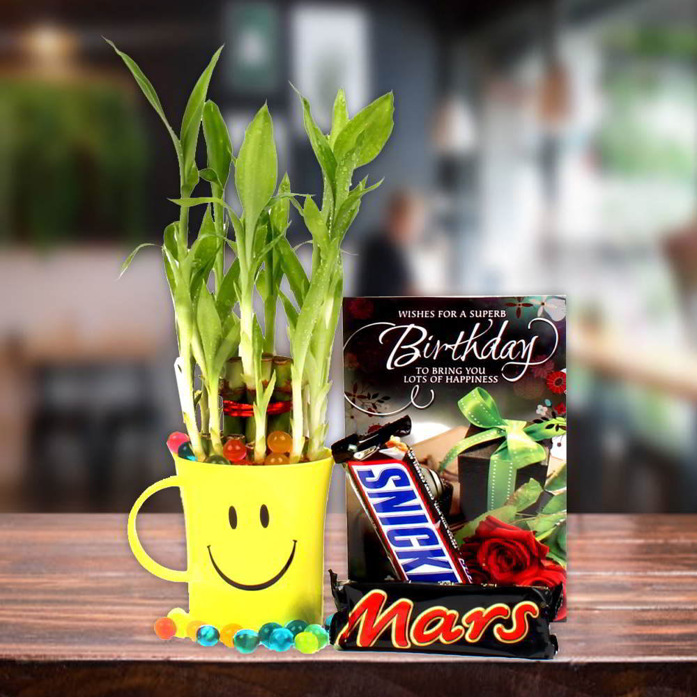 Chocolates and Good Luck Plant with Birthday Card