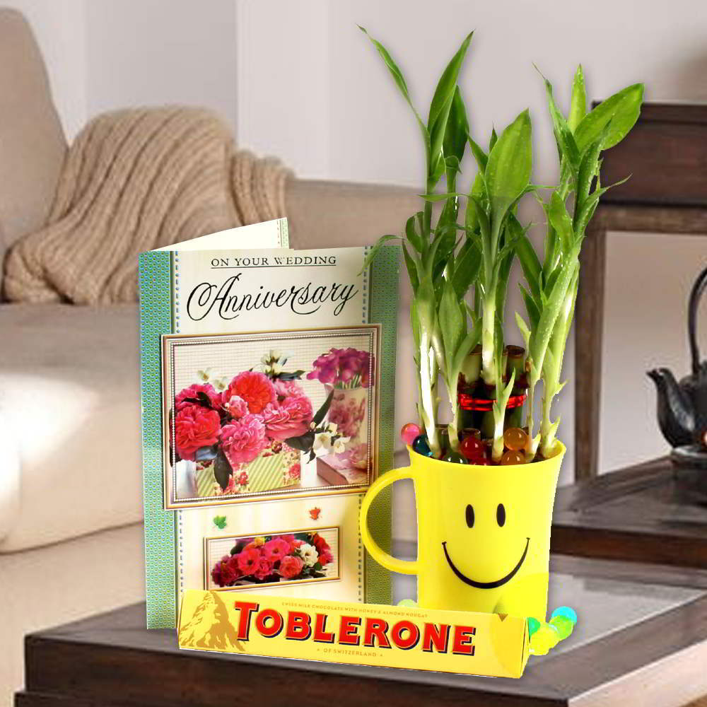 Chocolates and Anniversary Card with Good Luck Plant
