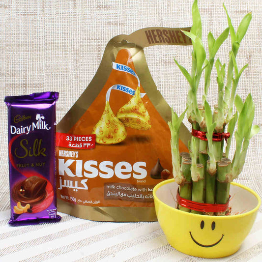 Kisses and Dairy Milk Chocolates with Good Luck Plant