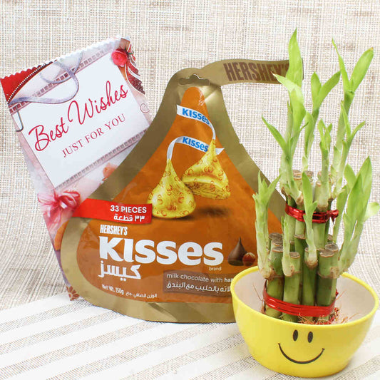 Kisses Chocolate Pack with Green Bamboo plant