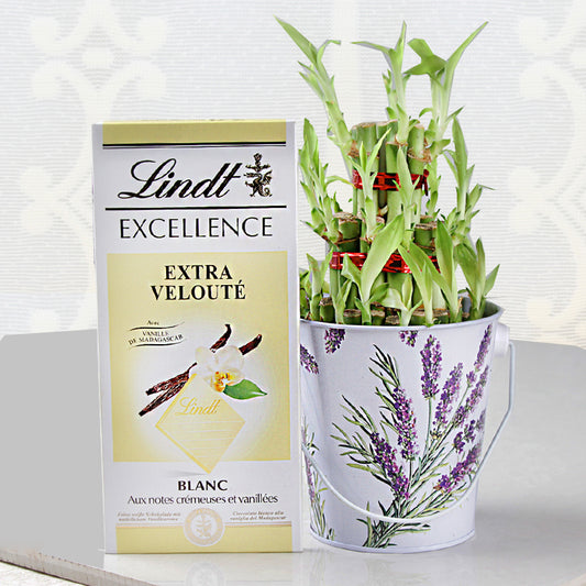Lindt Vanilla Chocolates and Good Luck Plant